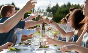 People-toasting-wine-glas-007